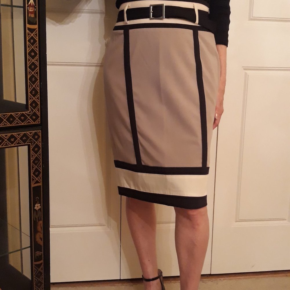 Worthington color-blocked straight, lined skirt.  Size 4